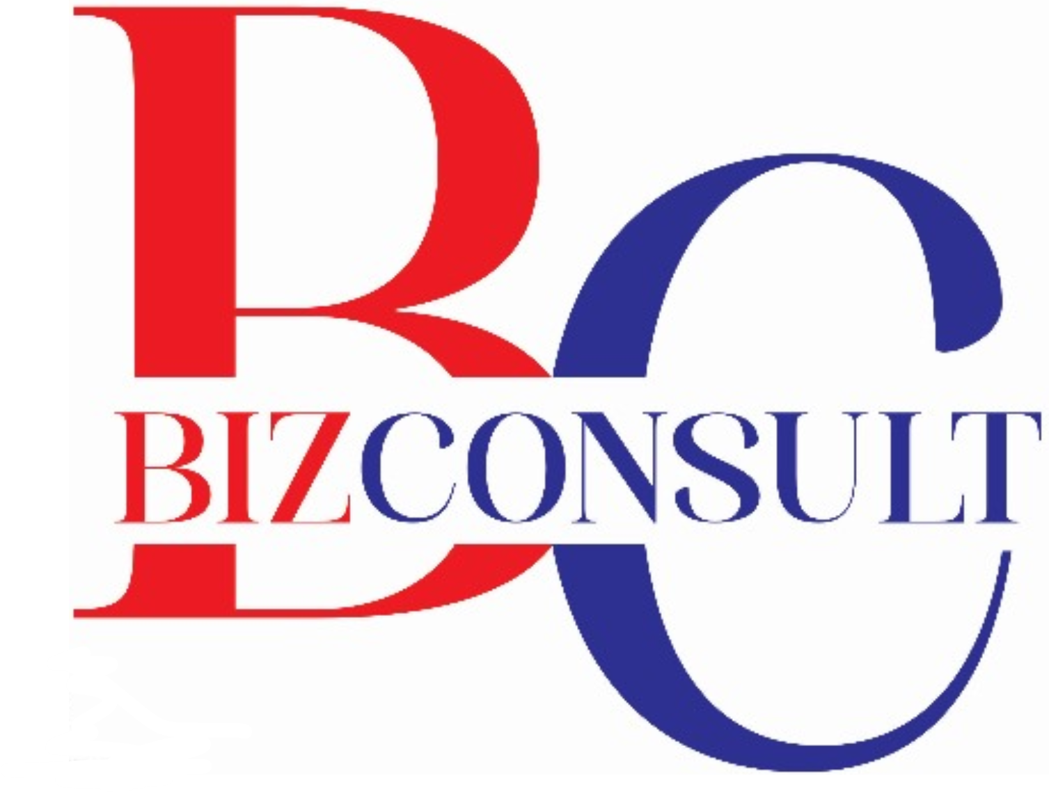 Bizconsult